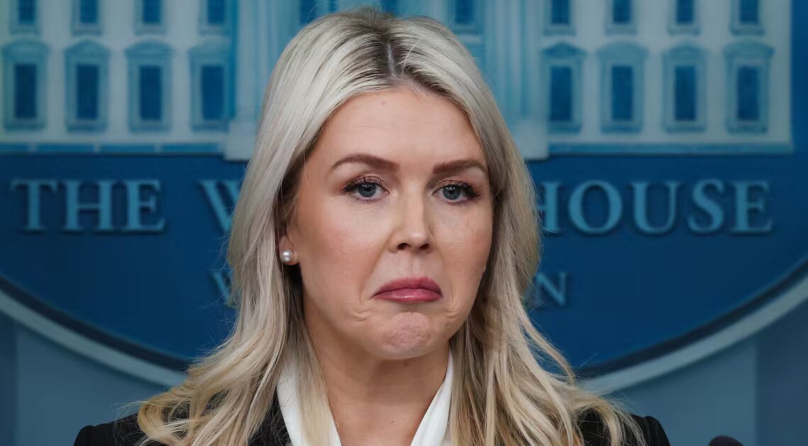 Karoline Leavitt Branded a Liar by Ally Opposing Trump’s War