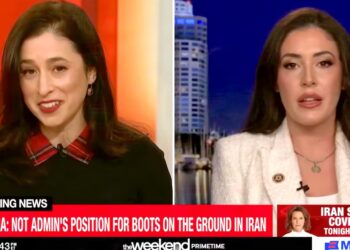 MAGA Rep Humiliated After Bizarre Insistence that U.S. Is Not at War