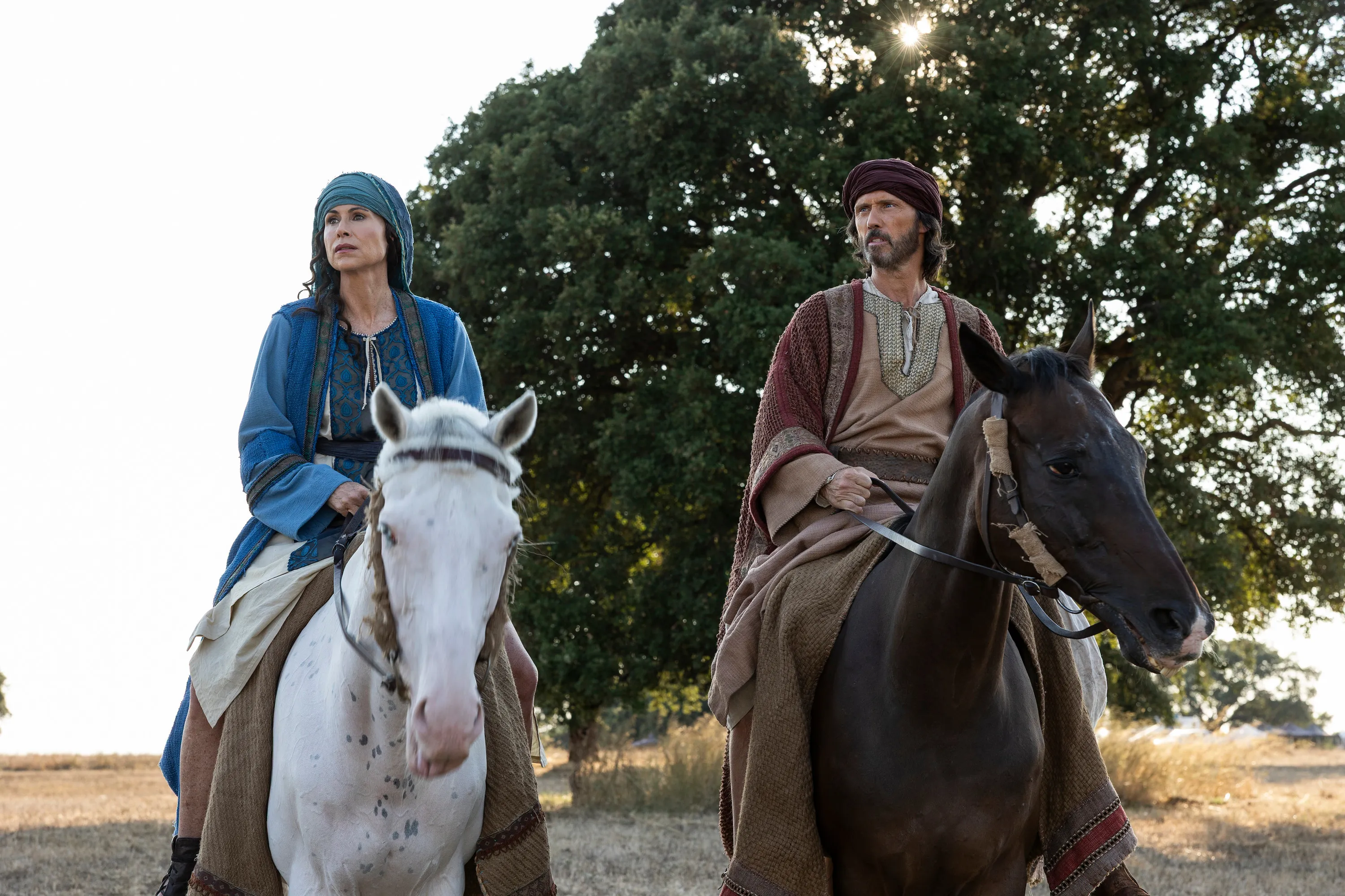 Donovan stars alongside Driver in the new series, 