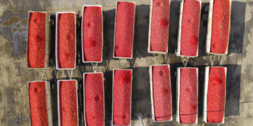 Paul Ehrlich, 1932-2026