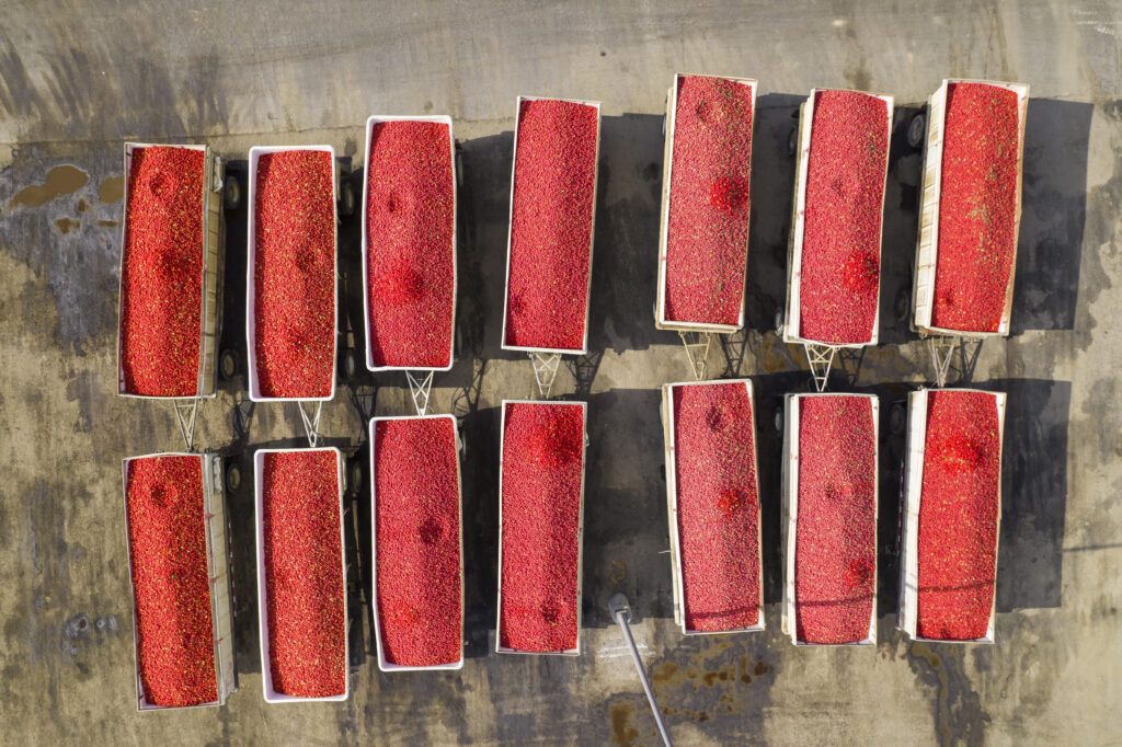 Paul Ehrlich, 1932-2026