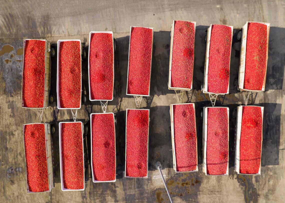 Paul Ehrlich has died. His shock waves remain.