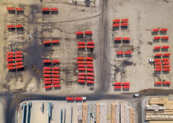 Fallout from ‘The Population Bomb’