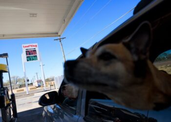 Financial markets fall to new 2026 low as oil rises again