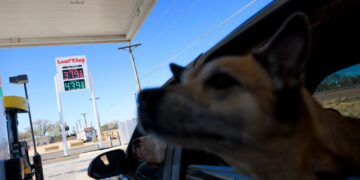 Financial markets fall to new 2026 low as oil rises again