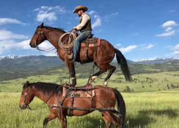 OpenAI Just Killed Its Sora AI Short Video Generator