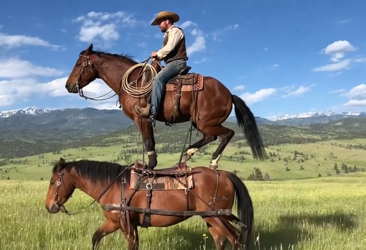 OpenAI Just Killed Its Sora AI Short Video Generator