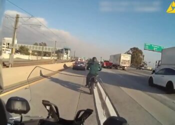 Search continues for daredevil motorcyclist seen evading cops on freeway