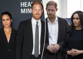 Blow to Prince Harry and Meghan Markle in security battle with British government after fears over public backlash