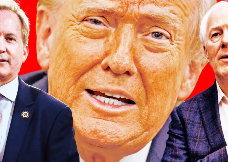 Trump Freaks Out Over Brutal Texas Primary MAGA Showdown