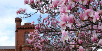 It was a long, harsh winter in D.C. We can finally call it over.