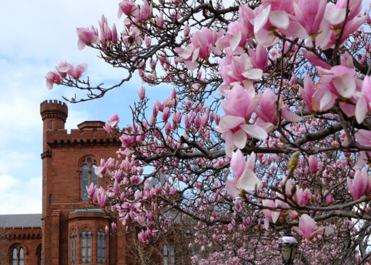 It was a long, harsh winter in D.C. We can finally call it over.