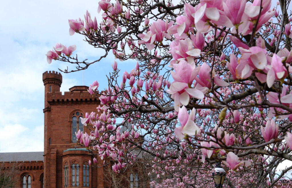 It was a long, harsh winter in D.C. We can finally call it over.