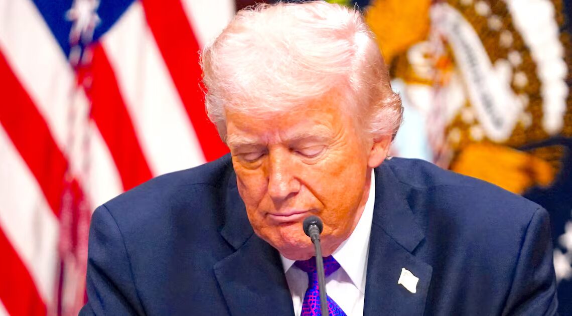 Murdoch Paper Explains How We Know Trump’s Going to Suffer at the Midterms