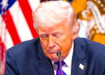 Murdoch Paper Explains How We Know Trump’s Going to Suffer at the Midterms