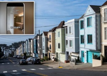 Social media scammers are ripping real estate agents’ house videos and making money