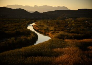 FDR was our grandfather. DHS is betraying his vision.