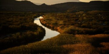 FDR was our grandfather. DHS is betraying his vision.