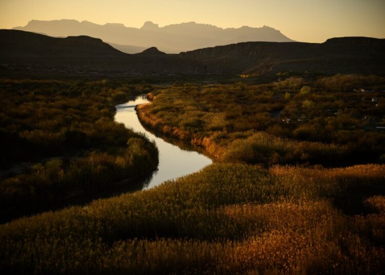 FDR was our grandfather. DHS is betraying his vision.