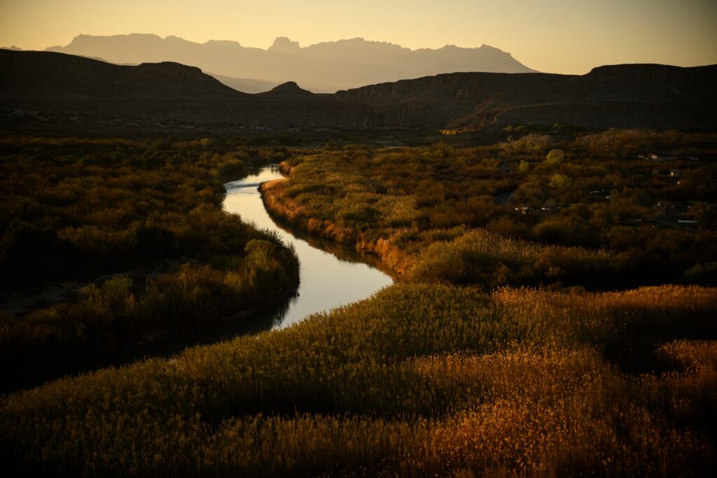 FDR was our grandfather. DHS is betraying his vision.