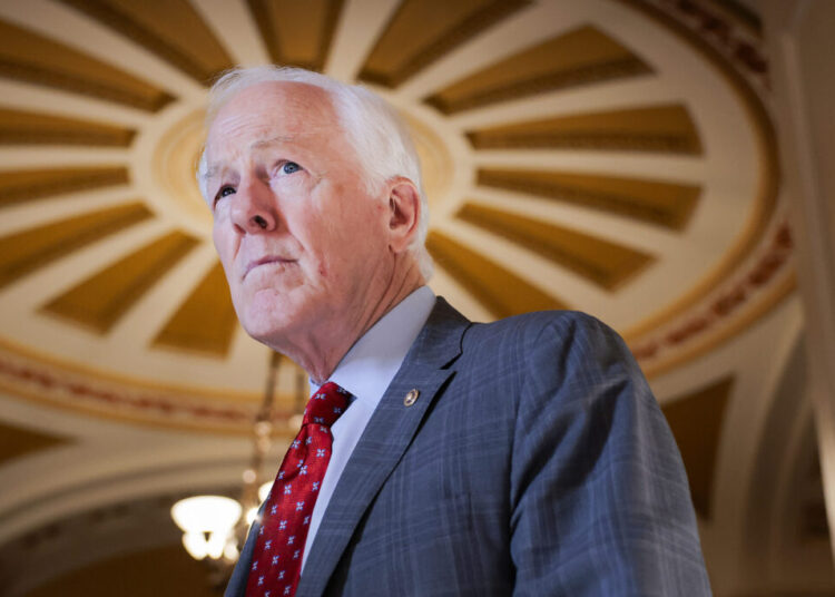 MAGA’s eruption has so far kept Trump from endorsing in key Senate race