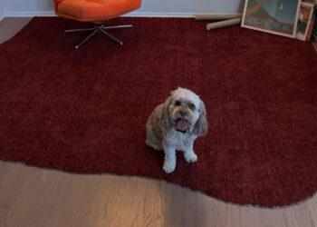 She Needed a Rug. One Dumpster Dive Later, She Had the Red Carpet.