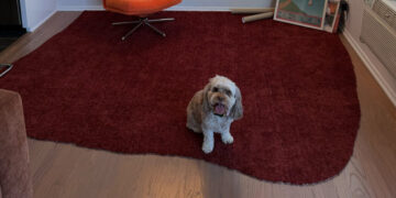 She Needed a Rug. One Dumpster Dive Later, She Had the Red Carpet.