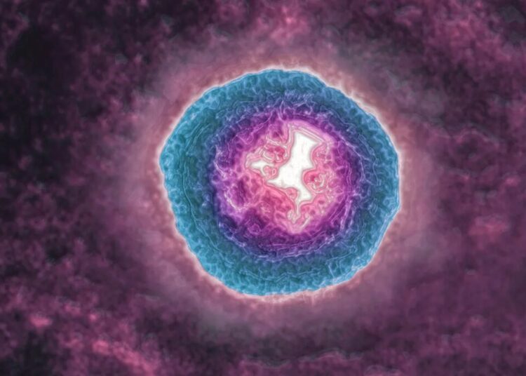 The Shingles Virus May Be Aging You More Quickly