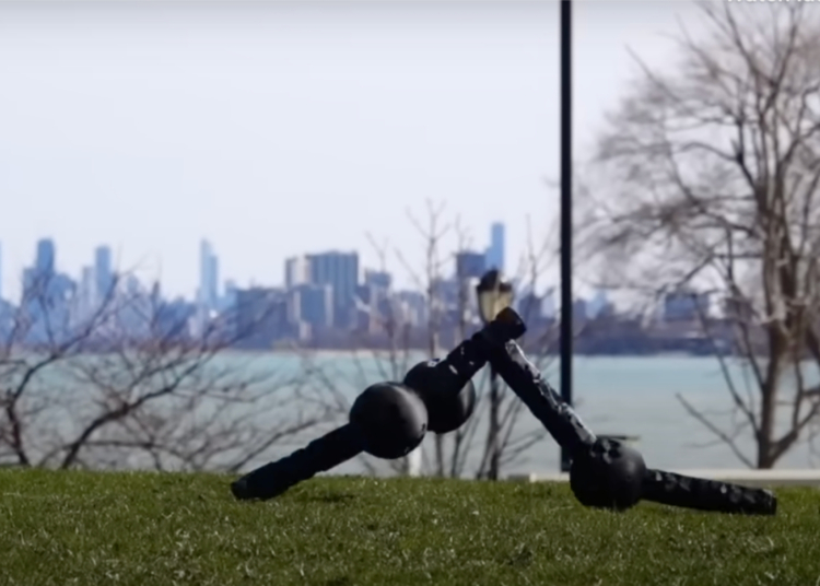 Scientists Taught an AI to ‘Evolve’ Robots, Then Built the Weirdest Ones in Real Life