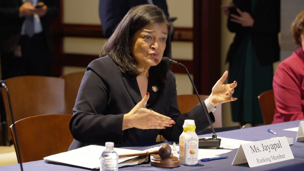 Rep. Pramila Jayapal leads a hearing on immigration where she called for reparations to illegal immigrants traumatized by ICE on March 27, 2026.