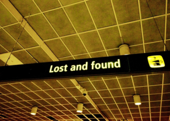 The 9 Wildest Things Found in Unclaimed Luggage in 2025, Ranked