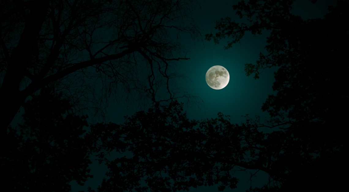 These 4 Birth Months Will Have the Most Luck on St. Patrick’s Day 2026