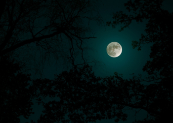 These 4 Birth Months Will Have the Most Luck on St. Patrick’s Day 2026