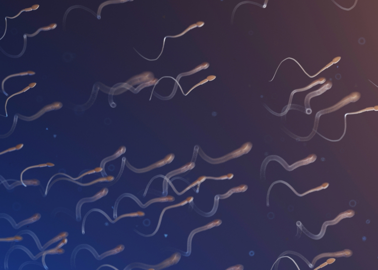 This Common Habit Is Ruining Your Sperm