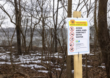 The Potomac sewage spill is devastating — it’s also disturbingly common