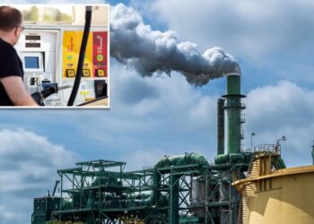 CA dems hit reverse on climate rule they backed months ago over fears energy market on brink of collapse