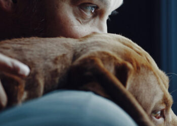 Get a Dog, Live Longer?