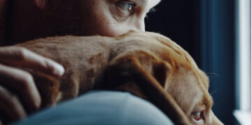 Get a Dog, Live Longer?