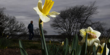 A warmer March ahead for D.C., though winter isn’t done