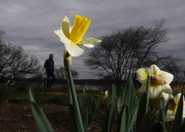 A warmer March ahead for D.C., though winter isn’t done