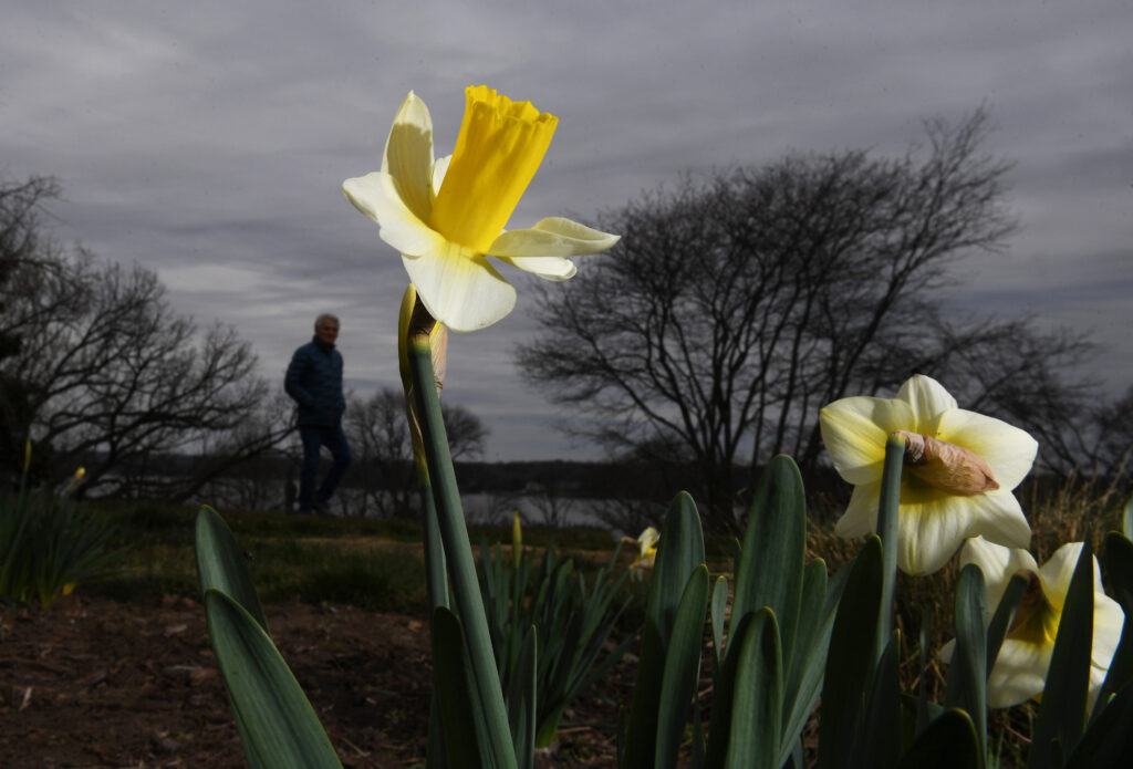 A warmer March ahead for D.C., though winter isn’t done