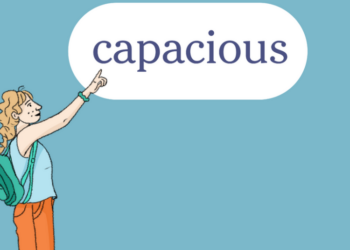 Word of the Day: capacious
