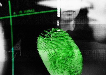 Identity Theft Protection Services: Do You Actually Need One?