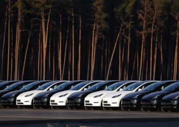 The Tesla Influencers Leaving the ‘Cult’