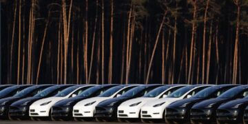 The Tesla Influencers Leaving the ‘Cult’