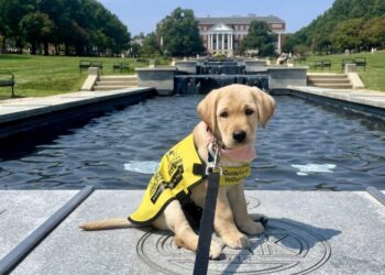 College students add puppy training to their course load