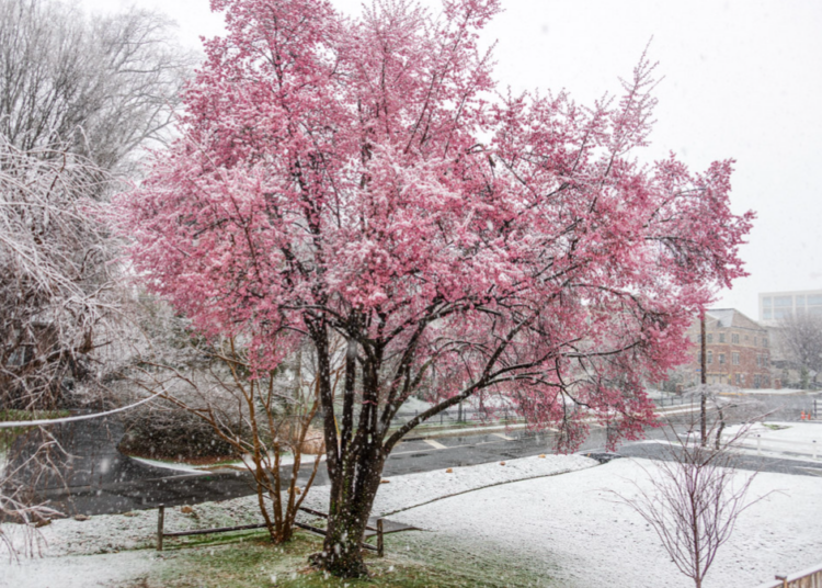 Summer to winter in hours: How one of D.C.’s wildest weather days unfolded