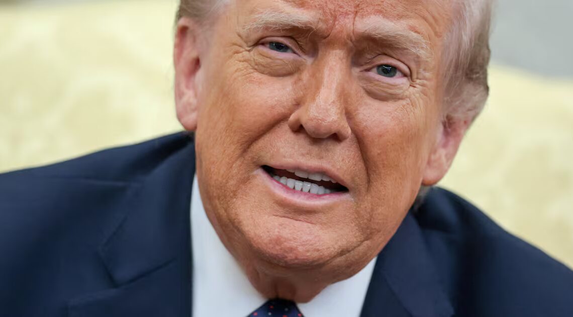 Confused Trump, 79, Forgets What Country His Father Was Born in