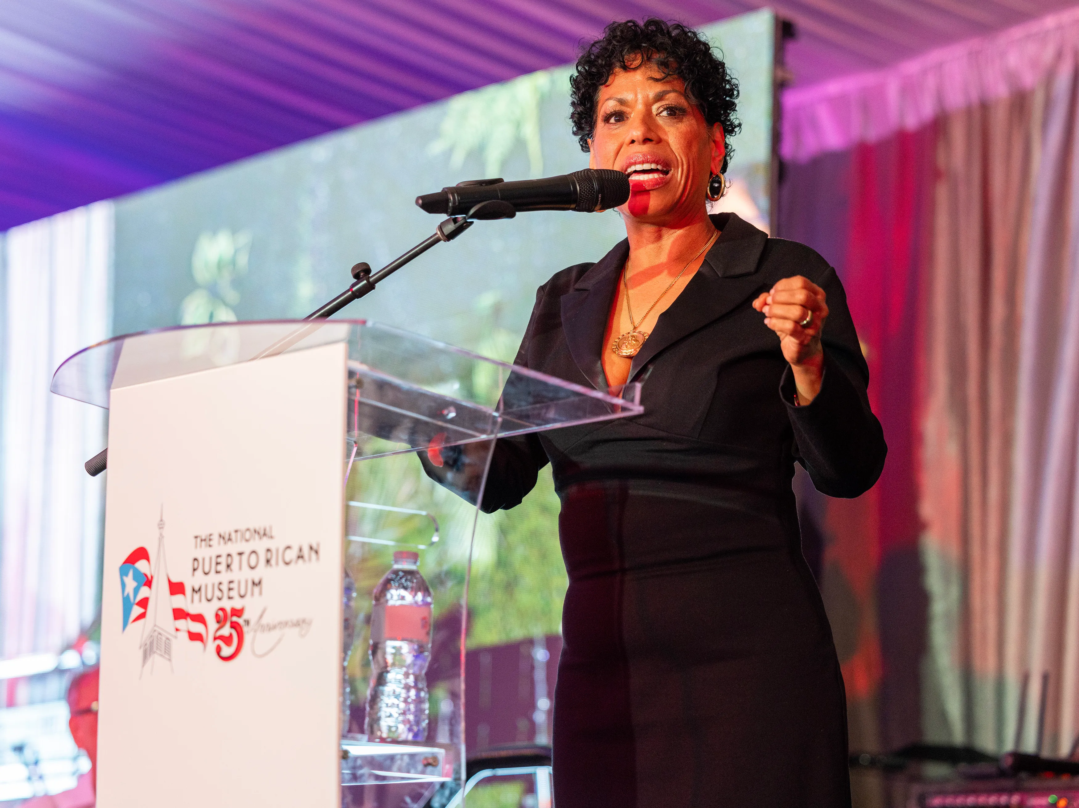 Liza Colon-Zayas speaking at the National Museum of Puerto Rican Arts & Culture Annual Raices Gala.