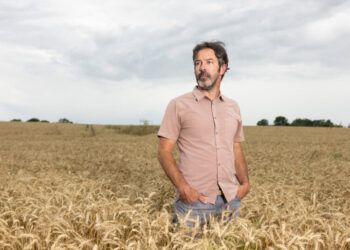 Meet the A.I. Prospectors Tapping a Billion-Dollar Gusher